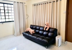 Blk 545 Hougang Avenue 8 (Hougang), HDB Executive #199689212